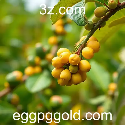 Mudanças Climáticas Impactam a Produção de Alimentos no Brasil