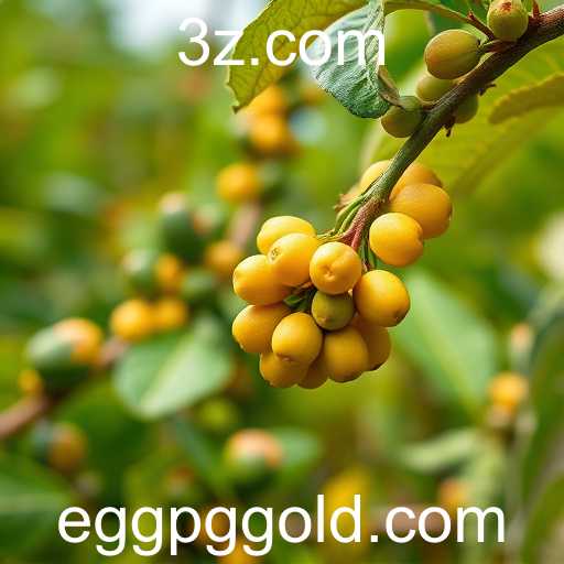 Mudanças Climáticas Impactam a Produção de Alimentos no Brasil